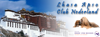 Lhasa Apso club